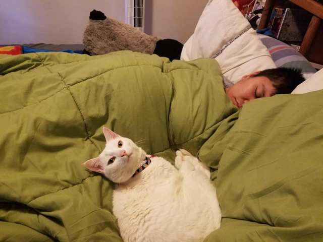 78984545_10221182799305387_2132458911800754176_n